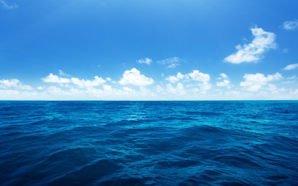 sea-018
